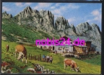 83256 Steinlingalm Kampenwand Chiemsee  *ca.1975