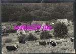 98587 Oberschoenau  Erholungsheim o 2.8.1980