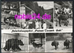 Suhl Heimat - Tierpark Zoo animals o 1.12.1979