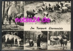16200 Eberswalde animal park animals *ca.1970