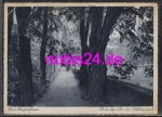 97980 Bad Mergentheim Schlosspark o 2.7.1943