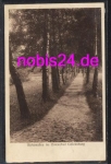 24960 Glucksburg Birkenallee o 17.3.1929