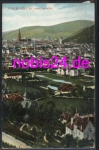 Freiburg Breisgau vom Lorretto *ca.1910