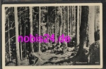 Brockenwald *ca.1950