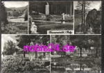 98711 Frauenwald o 28.5.1980