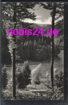 98711 Frauenwald vom Pfaffkopf o 19.6.1961