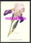 German iris artist card * ca.1965