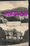79410 Badenweiler Pension International o 1.10.1911