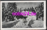 79868 Feldberg Gasthaus Hebelhof   *ca.1955