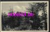 59929 Brilon Sauerland youth hostel *ca.1920