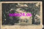 25524 Itzehoe Breitenburger ferry o 24.8.1902