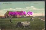 25761 Busum  Aus der Marsch Bauerhof o 12.9.1908