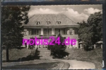 24837 Schleswig Hotel Stampfmühle *ca.1960