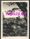 23879 Moelln *ca.1955