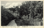 24321 Behrensdorf bei Luetjenburg um 1940