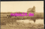 25980 Sylt Church of Weide Cows *ca.1930