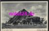 25826 St. Peter Nordseebad Fischerhaus *ca.1935