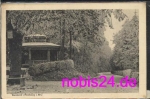 Freiburg Rauhreif im Park o 10.2.1926