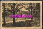 31832 Springe Forsthaus Koellnischfeld o 11.5.1923