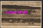 31832 Altenhagen Saupark wild boars o 20.10.1939