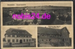 36318 Storndorf School Gasthaus Jagerhof o ca.1920