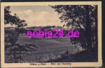 18586 Göhren Rügen vom Plansberg o 15.6.1932