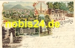 38667 Harzburg Litho o 15.8.1899