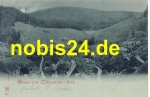38709 Wildemann Harz Mondscheinkarte o 3.7.1899