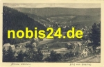 38707 Altenau Oberharz vom Grasstieg *ca.1930