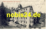 38667 Bad Harzburg Hotel Ludwigslust  *ca.1920