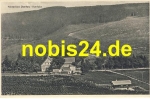 38640 Hahnenklee Oberharz Auerhahn *ca.1930