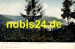 38667 Bad Harzburg Blick vom Amsbergbank*ca.1910