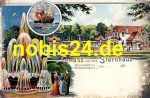 Wolfenbüttel Litho Gasthof Sternhaus *ca.1900