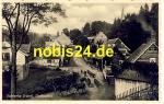 38879 Schierke Harz village party cows *ca.1935