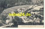 38889 Treseburg vom Weissen Hirsch o 11.6.1914