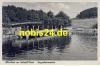38889 Altenbrak Bodetal Bergschwimmbad  *ca.1930