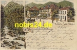 38871 Ilsenburg Litho Hotel Ilsethal o 8.8.1904