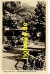 38855 Wernigerode Waldgasthof Christianental o 1954