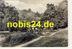38855 Wernigerode Gasthof Christienental o 1972