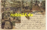 38820 Halberstadt Litho  Pfau Spiegelsbergen o 1907