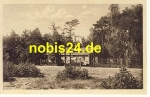 Trachenberge Dresden Wald Heim o 1928