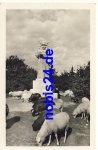 Radegost na Radhosti flock of sheep o 13.7.1949