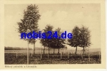 Litomysle Ruzovy Paloucek *ca.1930