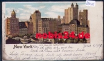 New York City Hall and Surroundings Litho o 20.6.1902