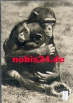 Monkeys Chimpanzees *approx. 1970