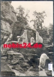 Polar bears outdoor enclosure Zoological Garden Berlin gebr. circa 1960