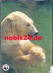 Polar bear in the water *approx. 1970