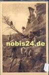 Monkeys baboons in Hagenbecks Tierpark Zoo Hamburg o July 31, 1962