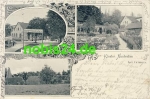 04668 Grimma Kloster Nimbschen o 22.7.1901