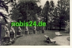 04651 Bad Lausick Im Rosarium o 17.7.1965